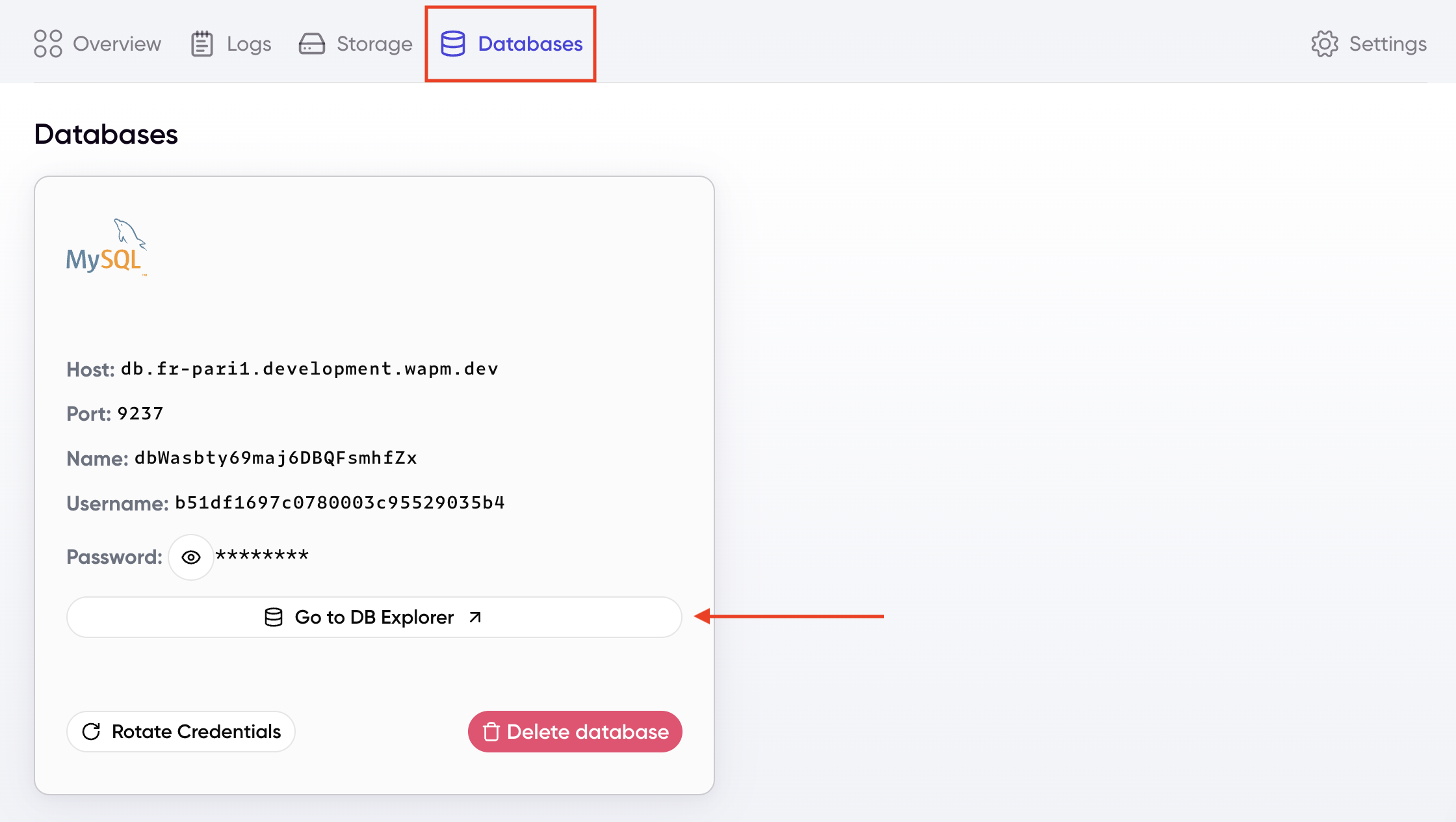 Database card in the Wasmer dashboard with the DB Explorer button