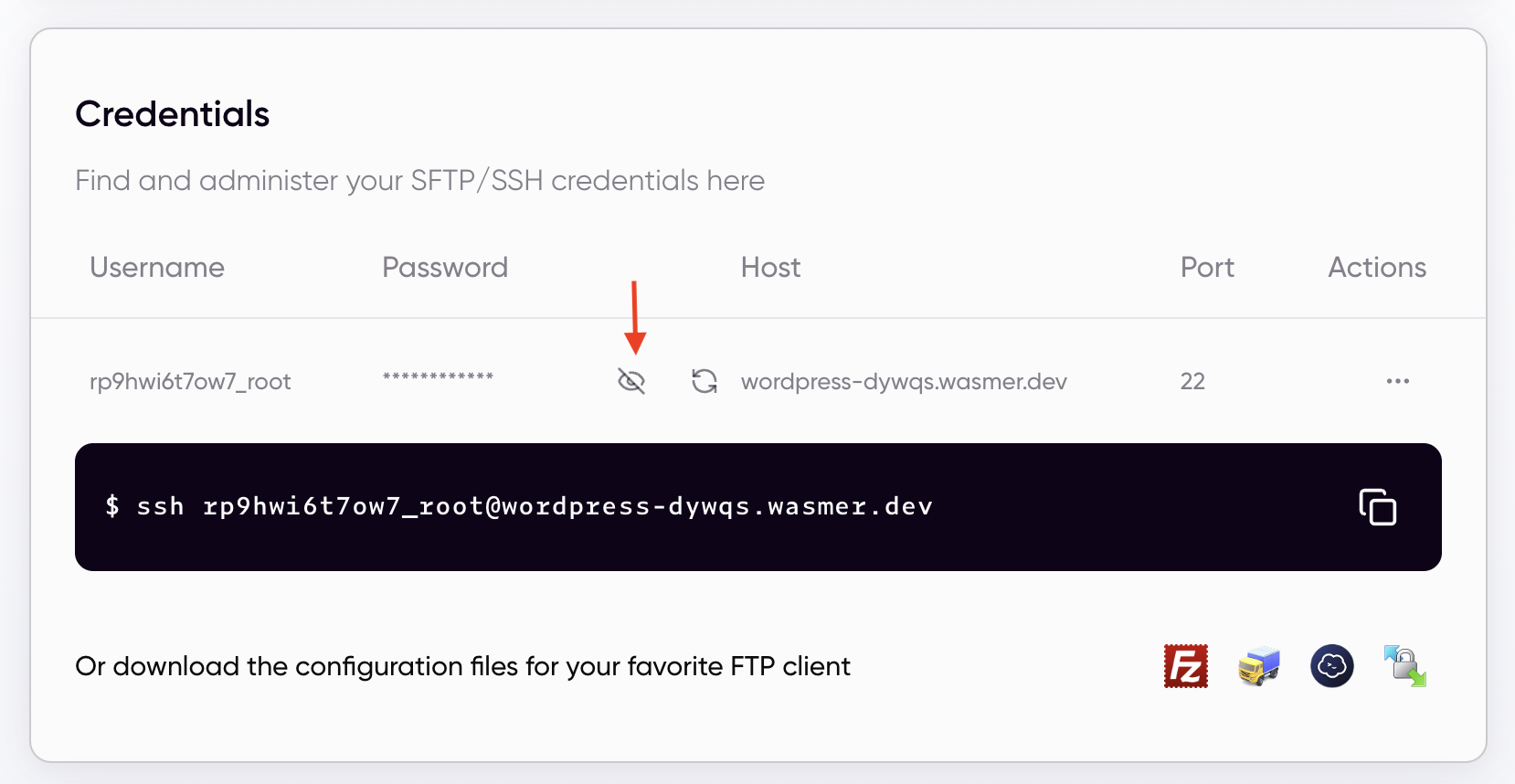 SSH credentials with password reveal and copyable SSH command